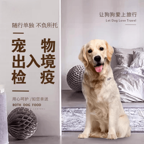 巴彦淖尔市宠物托运到哥伦比亚猫狗宠物入境规定和