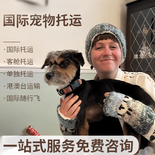 巴彦淖尔市国际宠物托运到阿根廷宠物入境规定和要