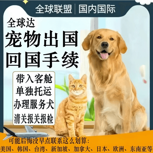 巴彦淖尔市宠物托运到柬埔寨宠物入境规定和要求