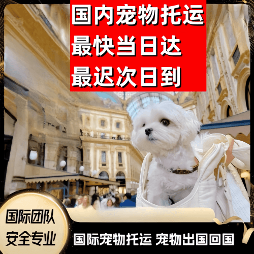 巴彦淖尔市到澳大利亚（澳洲）宠物入境规定和要求